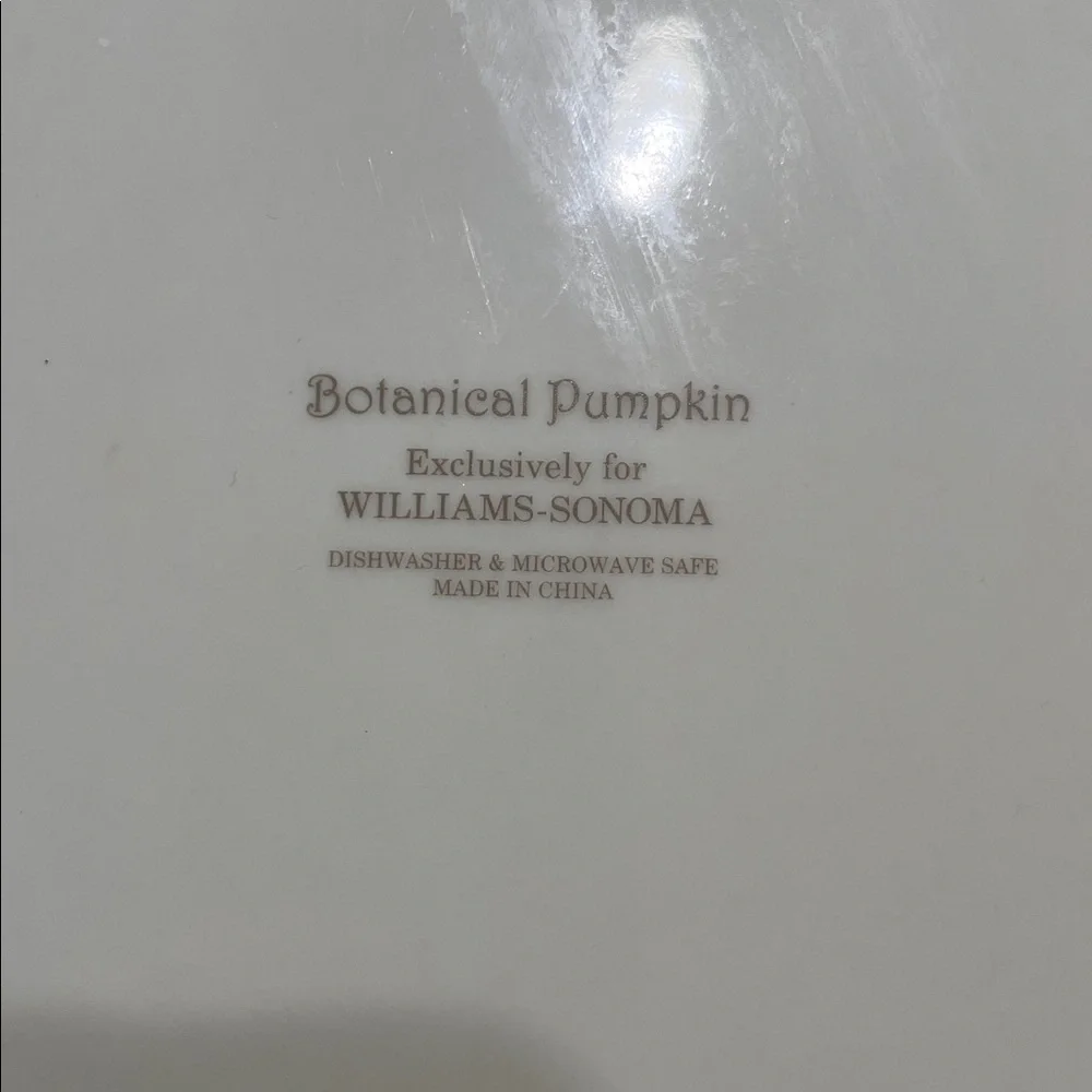 Williams Sonoma elegant bowl